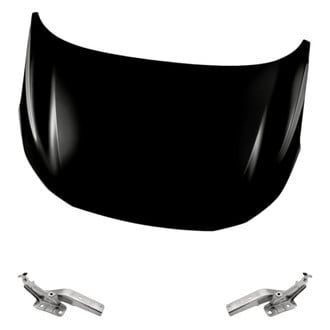 Replacement - 3-Piece (Hood Panel, Driver and Passenger Side Hood Hinge) (Standard Line)