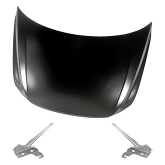 Replacement - 3-Piece (Hood Panel, Driver and Passenger Side Hood Hinge) (Standard Line)