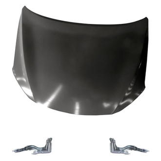 Replacement - 3-Piece (Hood Panel, Driver and Passenger Side Hood Hinge) (Standard Line)