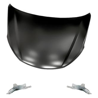 Replacement - 3-Piece (Hood Panel, Driver and Passenger Side Hood Hinge) (Standard Line)
