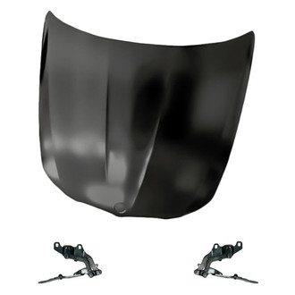 Replacement - 3-Piece (Hood Panel, Driver and Passenger Side Hood Hinge) (Standard Line)