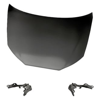 Replacement - 3-Piece (Hood Panel, Driver and Passenger Side Hood Hinge) (Standard Line)