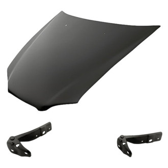 Replacement - 3-Piece (Hood Panel, Driver and Passenger Side Hood Hinge) (Standard Line)