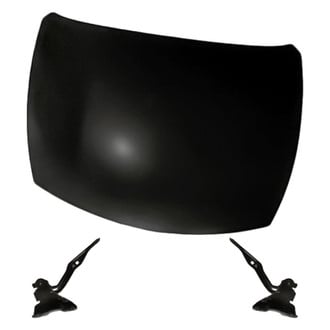 Replacement - 3-Piece (Hood Panel, Driver and Passenger Side Hood Hinge) (Standard Line)
