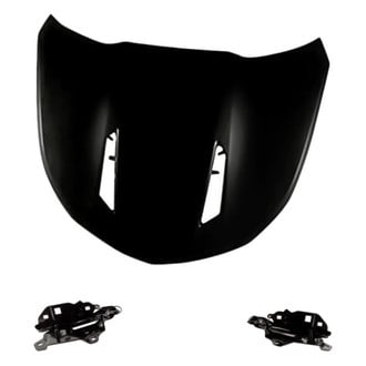 Replacement - 3-Piece (Hood Panel, Driver and Passenger Side Hood Hinge) (Standard Line)