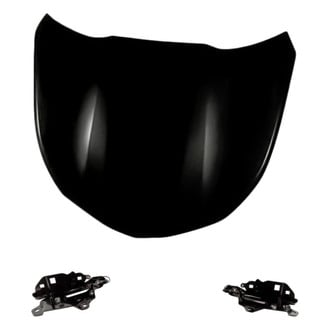 Replacement - 3-Piece (Hood Panel, Driver and Passenger Side Hood Hinge) (Standard Line)