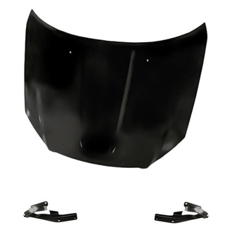 Replacement - 3-Piece (Hood Panel, Driver and Passenger Side Hood Hinge) (Standard Line)