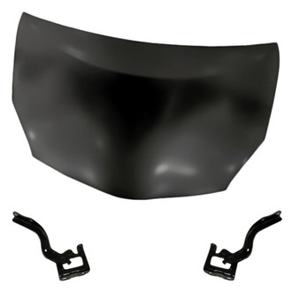 Replacement BNDL-200505 - 3-Piece (Hood Panel, Driver and Passenger Side Hood Hinge) (Standard Line)