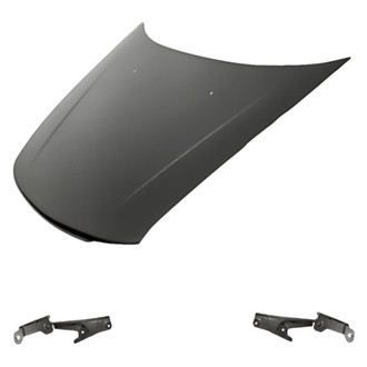 Replacement - 3-Piece (Hood Panel, Driver and Passenger Side Hood Hinge) (Standard Line)