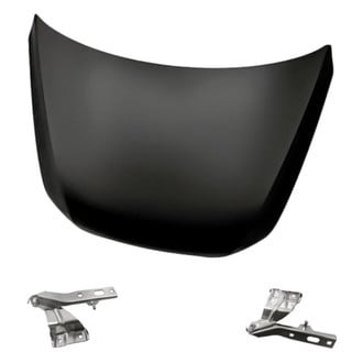 Replacement - 3-Piece (Hood Panel, Driver and Passenger Side Hood Hinge) (Standard Line)