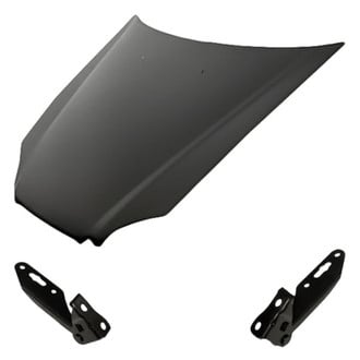 Replacement - 3-Piece (Hood Panel, Driver and Passenger Side Hood Hinge) (Standard Line)