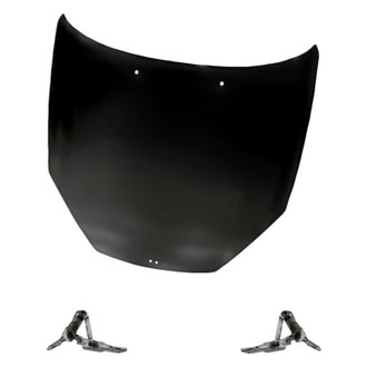 Replacement - 3-Piece (Hood Panel, Driver and Passenger Side Hood Hinge) (Standard Line)