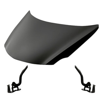 Replacement - 3-Piece (Hood Panel, Driver and Passenger Side Hood Hinge) (Standard Line)