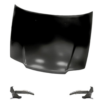 Replacement - 3-Piece (Hood Panel, Driver and Passenger Side Hood Hinge) (Standard Line)