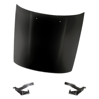 Replacement - 3-Piece (Hood Panel, Driver and Passenger Side Hood Hinge) (Standard Line)