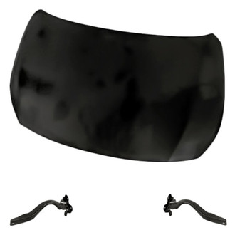 Replacement - 3-Piece (Hood Panel, Driver and Passenger Side Hood Hinge) (Standard Line)