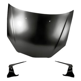 Replacement - 3-Piece (Hood Panel, Driver and Passenger Side Hood Hinge) (Standard Line)