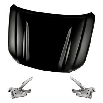 Replacement - 3-Piece (Hood Panel, Driver and Passenger Side Hood Hinge) (Standard Line)