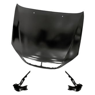 Replacement - 3-Piece (Hood Panel, Driver and Passenger Side Hood Hinge) (Standard Line)