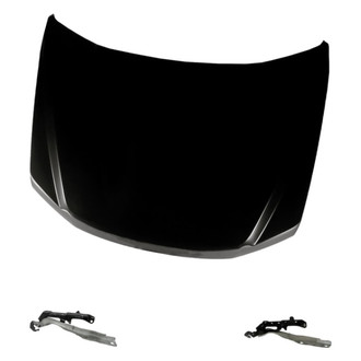 Replacement - 3-Piece (Hood Panel, Driver and Passenger Side Hood Hinge) (Standard Line)