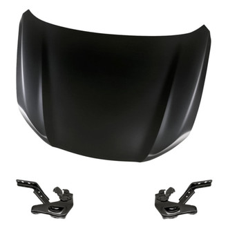 Replacement - 3-Piece (Hood Panel, Driver and Passenger Side Hood Hinge) (Standard Line)
