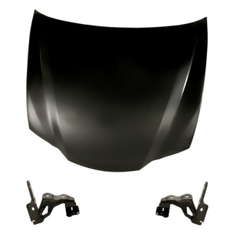 Replacement - 3-Piece (Hood Panel, Driver and Passenger Side Hood Hinge) (Standard Line)