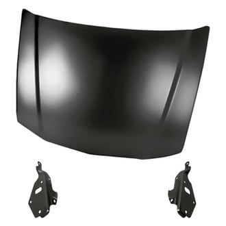 Replacement - 3-Piece (Hood Panel, Driver and Passenger Side Hood Hinge)