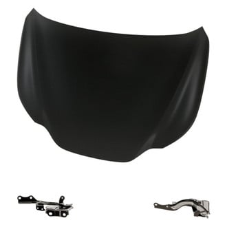 Replacement - 3-Piece (Hood Panel, Driver and Passenger Side Hood Hinge) (Standard Line)