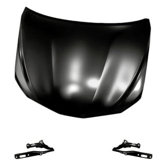 Replacement - 3-Piece (Hood Panel, Driver and Passenger Side Hood Hinge) (Standard Line)