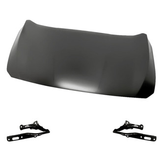Replacement - 3-Piece (Hood Panel, Driver and Passenger Side Hood Hinge) (Standard Line)
