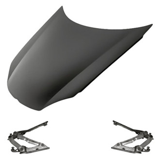 Replacement - 3-Piece (Hood Panel, Driver and Passenger Side Hood Hinge) (Standard Line)