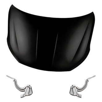 Replacement - 3-Piece (Hood Panel, Driver and Passenger Side Hood Hinge) (Standard Line)