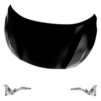 Replacement - 3-Piece (Hood Panel, Driver and Passenger Side Hood Hinge) (Standard Line)