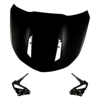 Replacement - 3-Piece (Hood Panel, Driver and Passenger Side Hood Hinge) (Standard Line)