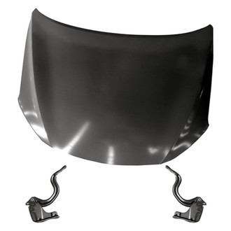 Replacement - 3-Piece (Hood Panel, Driver and Passenger Side Hood Hinge) (Standard Line)