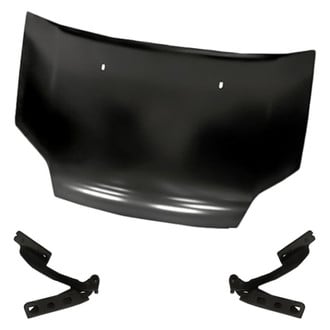 Replacement - 3-Piece (Hood Panel, Driver and Passenger Side Hood Hinge) (Standard Line)