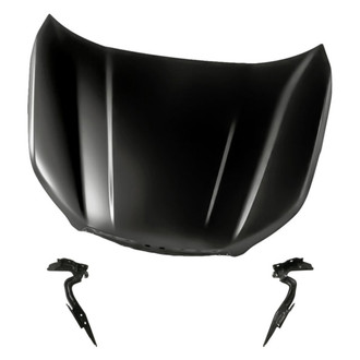 Replacement - 3-Piece (Hood Panel, Driver and Passenger Side Hood Hinge) (Standard Line)