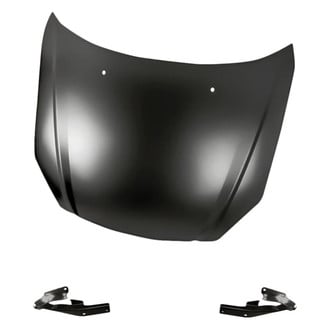 Replacement - 3-Piece (Hood Panel, Driver and Passenger Side Hood Hinge) (Standard Line)