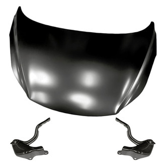 Replacement - 3-Piece (Hood Panel, Driver and Passenger Side Hood Hinge) (Standard Line)