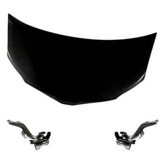 Replacement - 3-Piece (Hood Panel, Driver and Passenger Side Hood Hinge) (Standard Line)