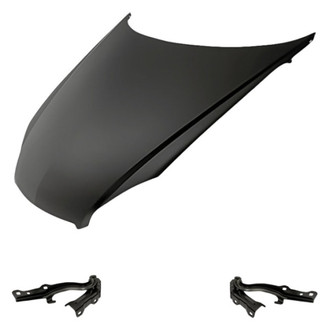 Replacement - 3-Piece (Hood Panel, Driver and Passenger Side Hood Hinge) (Standard Line)