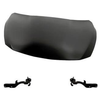 Replacement - 3-Piece (Hood Panel, Driver and Passenger Side Hood Hinge) (Standard Line)