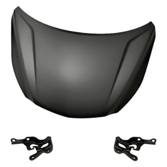 Replacement - 3-Piece (Hood Panel, Driver and Passenger Side Hood Hinge) (Standard Line)