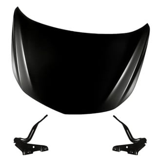 Replacement - 3-Piece (Hood Panel, Driver and Passenger Side Hood Hinge) (Standard Line)