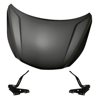 Replacement - 3-Piece (Hood Panel, Driver and Passenger Side Hood Hinge) (Standard Line)