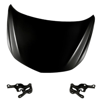 Replacement - 3-Piece (Hood Panel, Driver and Passenger Side Hood Hinge) (Standard Line)