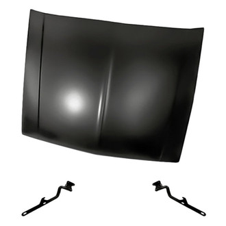 Replacement BNDL-200993 - 3-Piece (Hood Panel, Driver and Passenger Side Hood Hinge) (Standard Line)