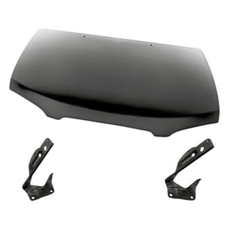 Replacement - 3-Piece (Hood Panel, Driver and Passenger Side Hood Hinge) (Standard Line)