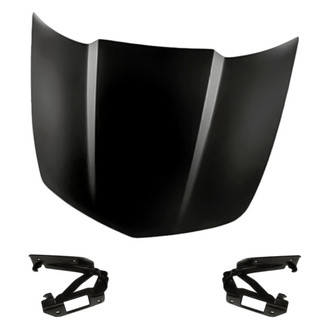 Replacement - 3-Piece (Hood Panel, Driver and Passenger Side Hood Hinge) (Standard Line)