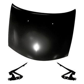 Replacement - 3-Piece (Hood Panel, Driver and Passenger Side Hood Hinge) (Standard Line)